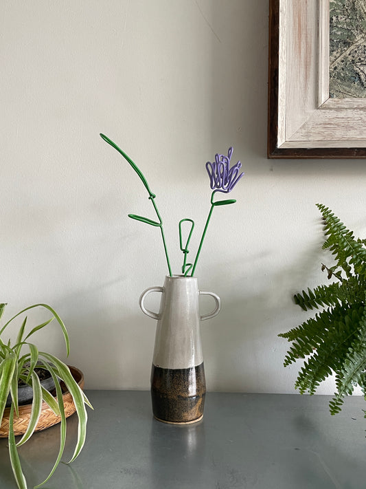 Hyacinth
